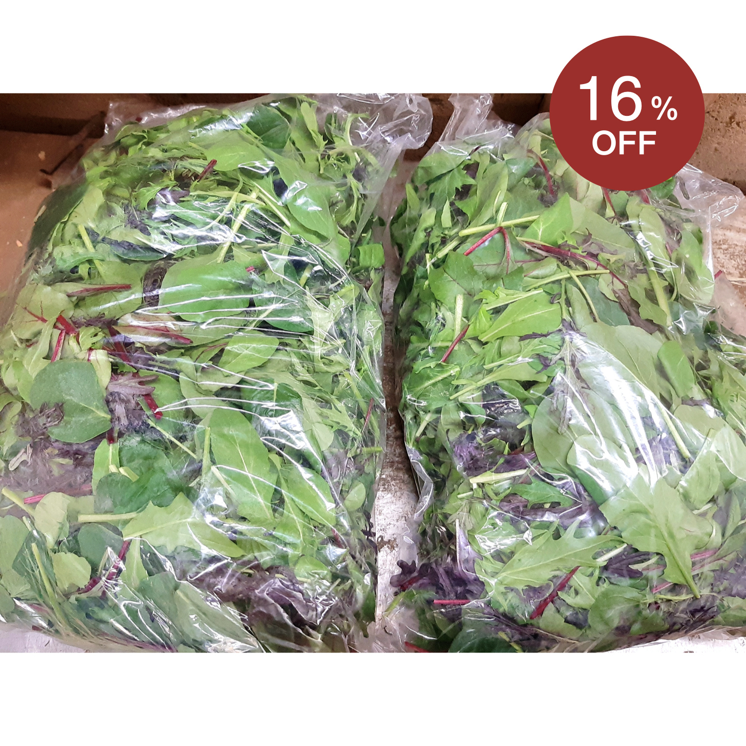 ベビーリーフミックス 500g 2袋 無農薬のシャキシャキなベビーリーフをレスキュー 本州のみ配送可 Tabete レスキュー掲示板