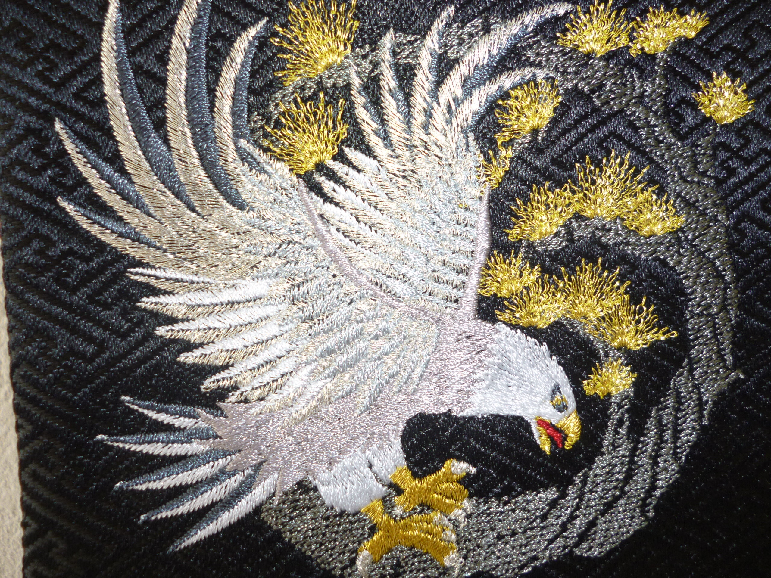 黒 金 さつき 金魚 出目金の種類や特徴をご紹介 黒だけじゃありません