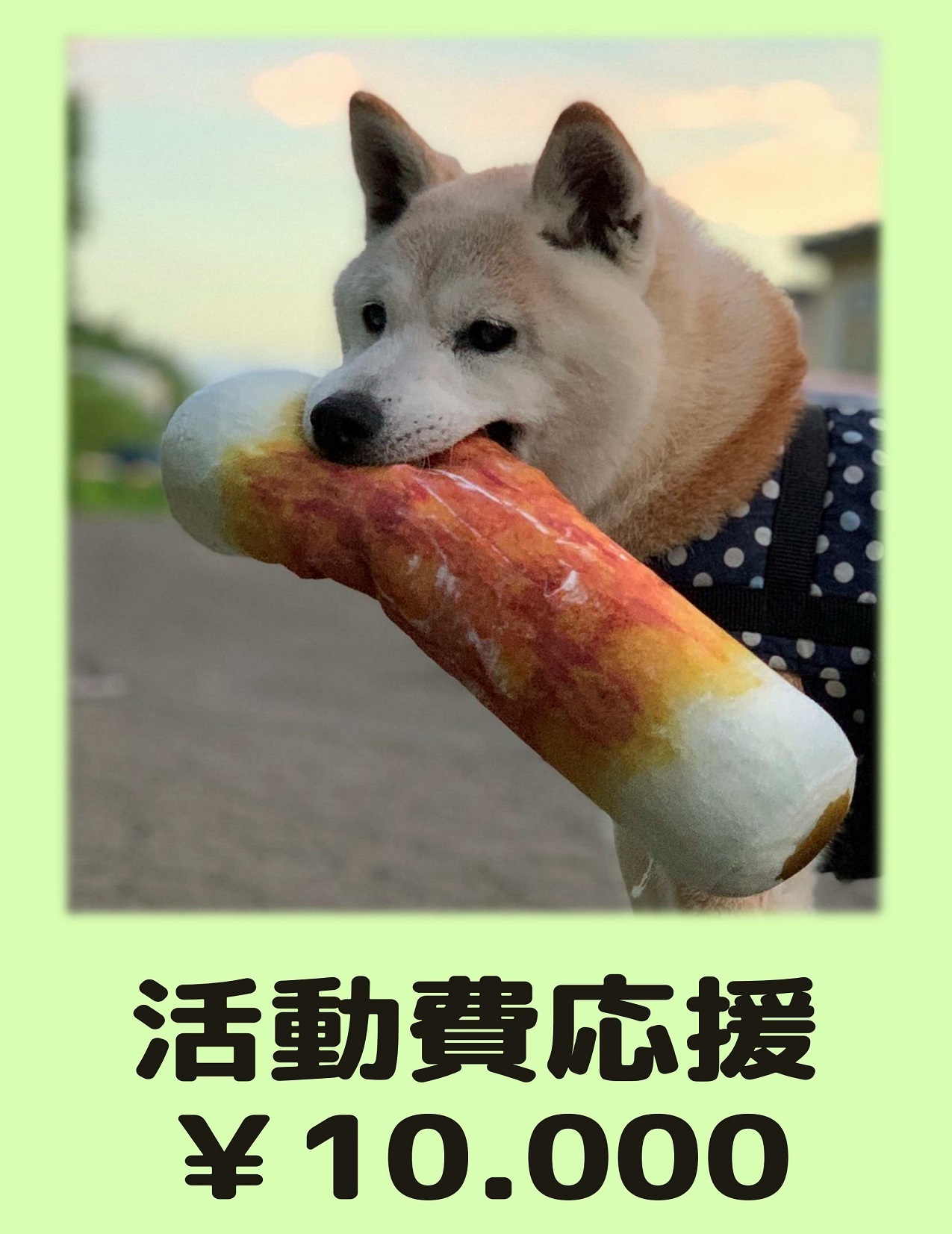 活動費応援 寄付 10 000 Lucky Smile