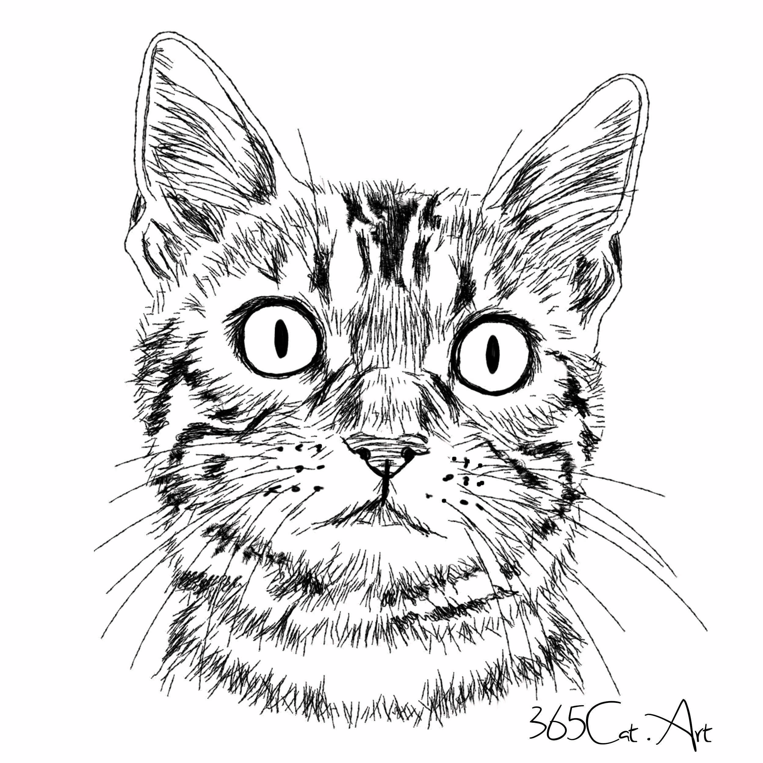 猫の手描きイラスト 似顔絵 白黒 作成 顔のみ 動物 人間可 猫雑貨 グッズ通販 猫や動物イラスト 似顔絵作成 365cat Art