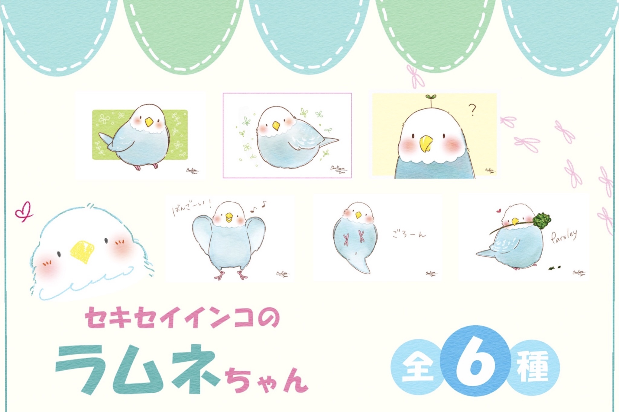 おトク ポストカードセット セキセイインコのラムネちゃん Omupasta もっちりぽってりな鳥雑貨 インコ オウム 野鳥たち