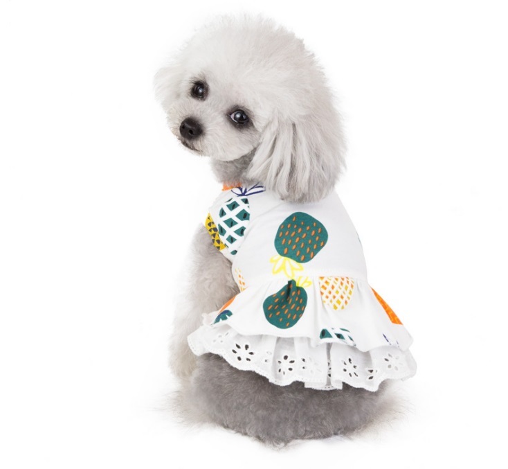 在庫あるだけセール 即納 大人気 トロピカルワンピース 犬 服 お揃い Candydogg