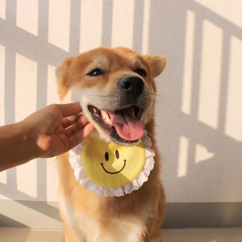 即納 送料無料 かわいい 二コちゃん 犬用 スタイ おしゃれ インスタ映え 犬用 よだれかけ イベント コスプレ 可愛い Ey0545 Eyes Line アイズライン