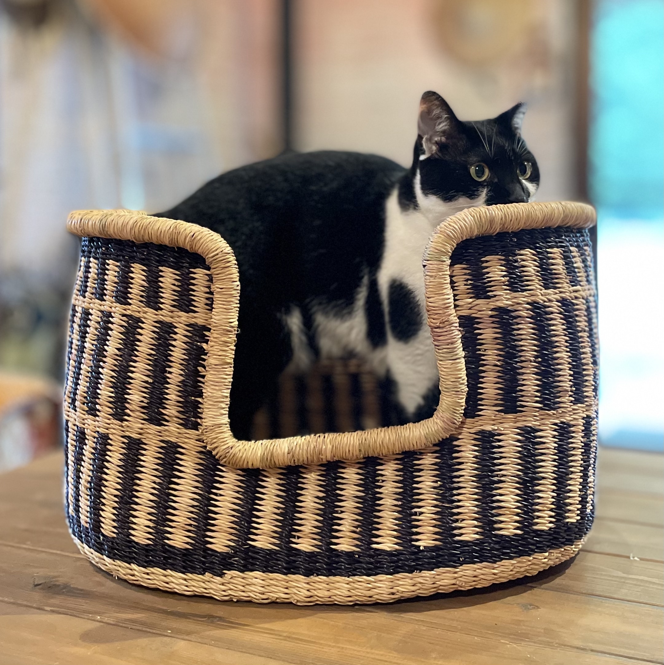 ガーナ 手編み 猫ベッド 犬ベッド ブラック ナチュラル 猫ノ途中 Imoto Mariho