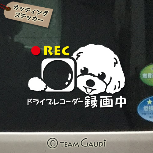 ドラレコ ステッカー 笑顔のトイプードル デザインb ステッカー 犬 ミックス犬 ドライブレコーダー録画中 煽り運転防止 シール 工房 Team Gaudi