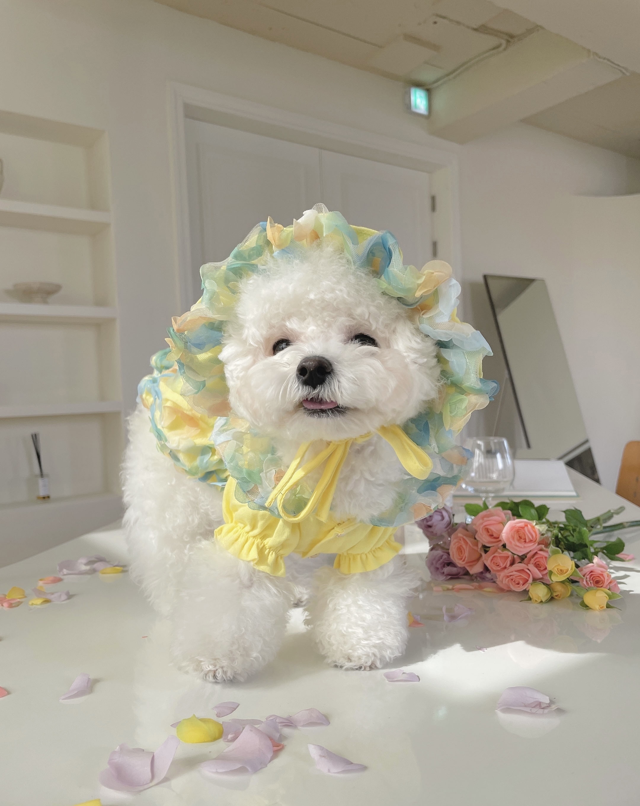 即納 花の妖精ワンピース イエロー Pupi Et Paru