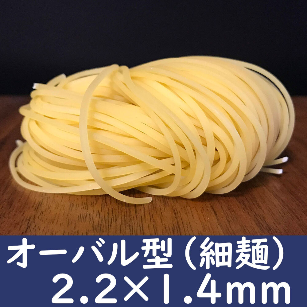 高崎生パスタ オーバル型 100ｇ 10玉 冷製パスタとしても Japastalia ジャパスタリア