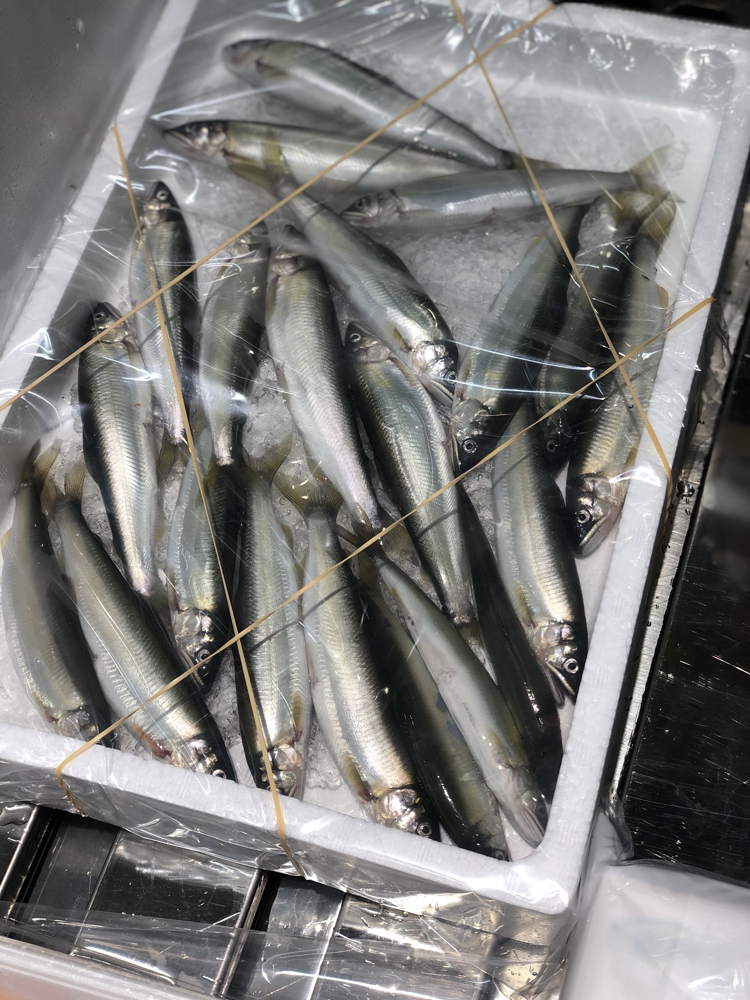 天然特上 稚鮎 琵琶湖 大サイズ 15 尾入 約500g 琵琶湖チアユ 大 X1 冷蔵 豊洲直送 Okawari 豊洲直送の高級海産物をお届け