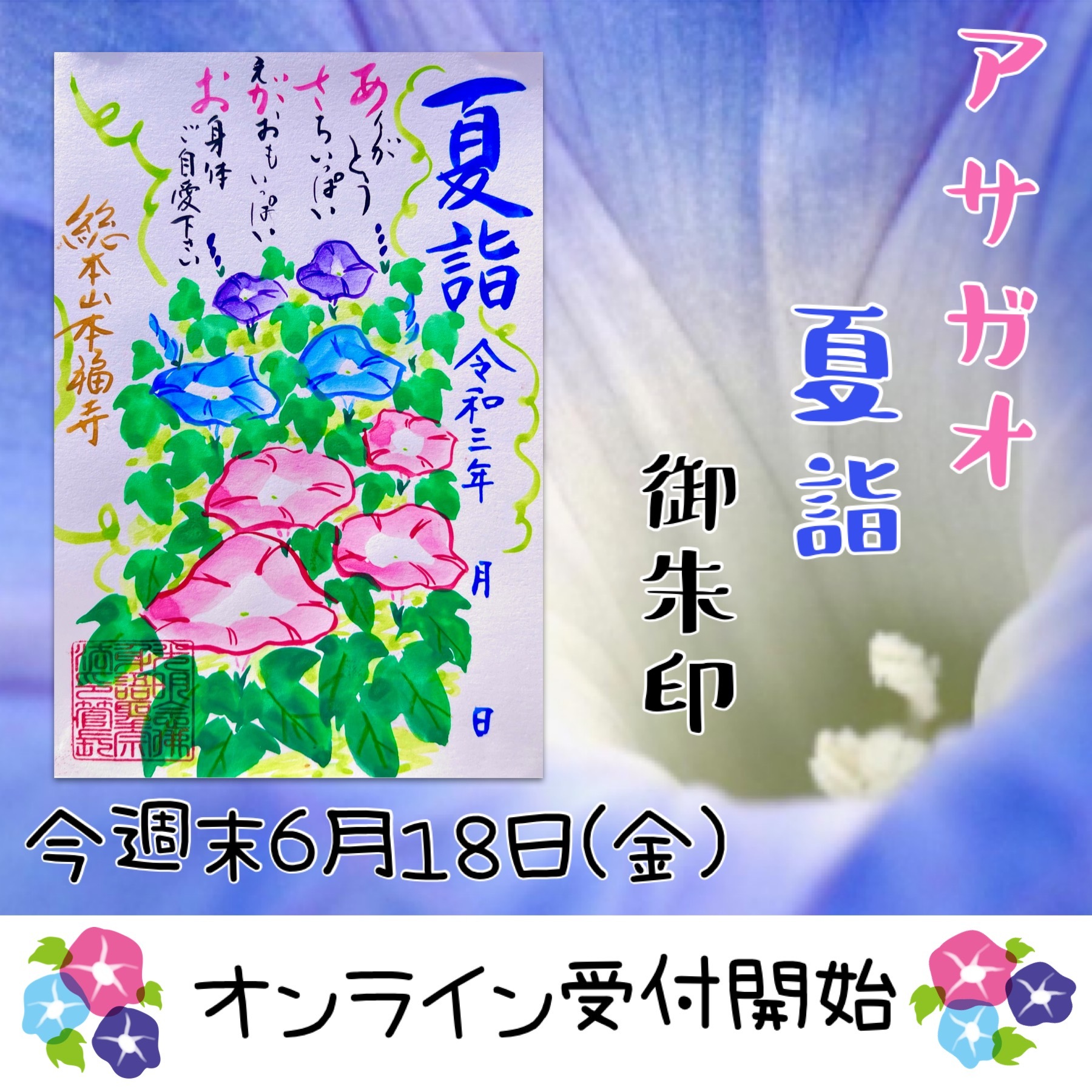 朝美人の花 アサガオ 夏詣 観音力 御朱印 Honpukuji