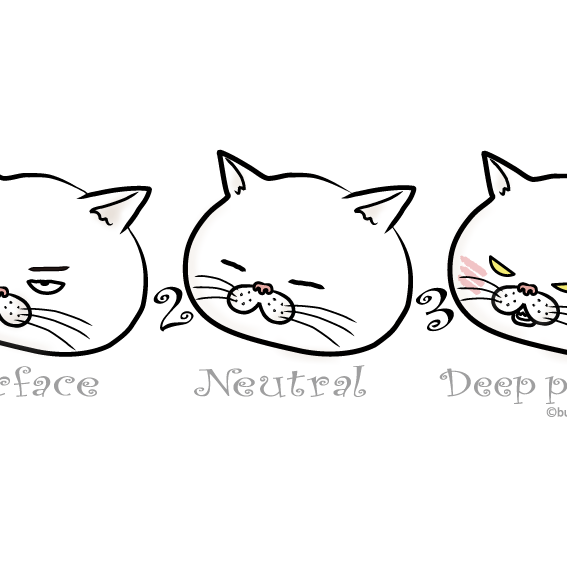 ブサ猫tシャツ 猫三匹 レディース 白ほか全5色 小さな小さな雑貨店 ぶさねこかん