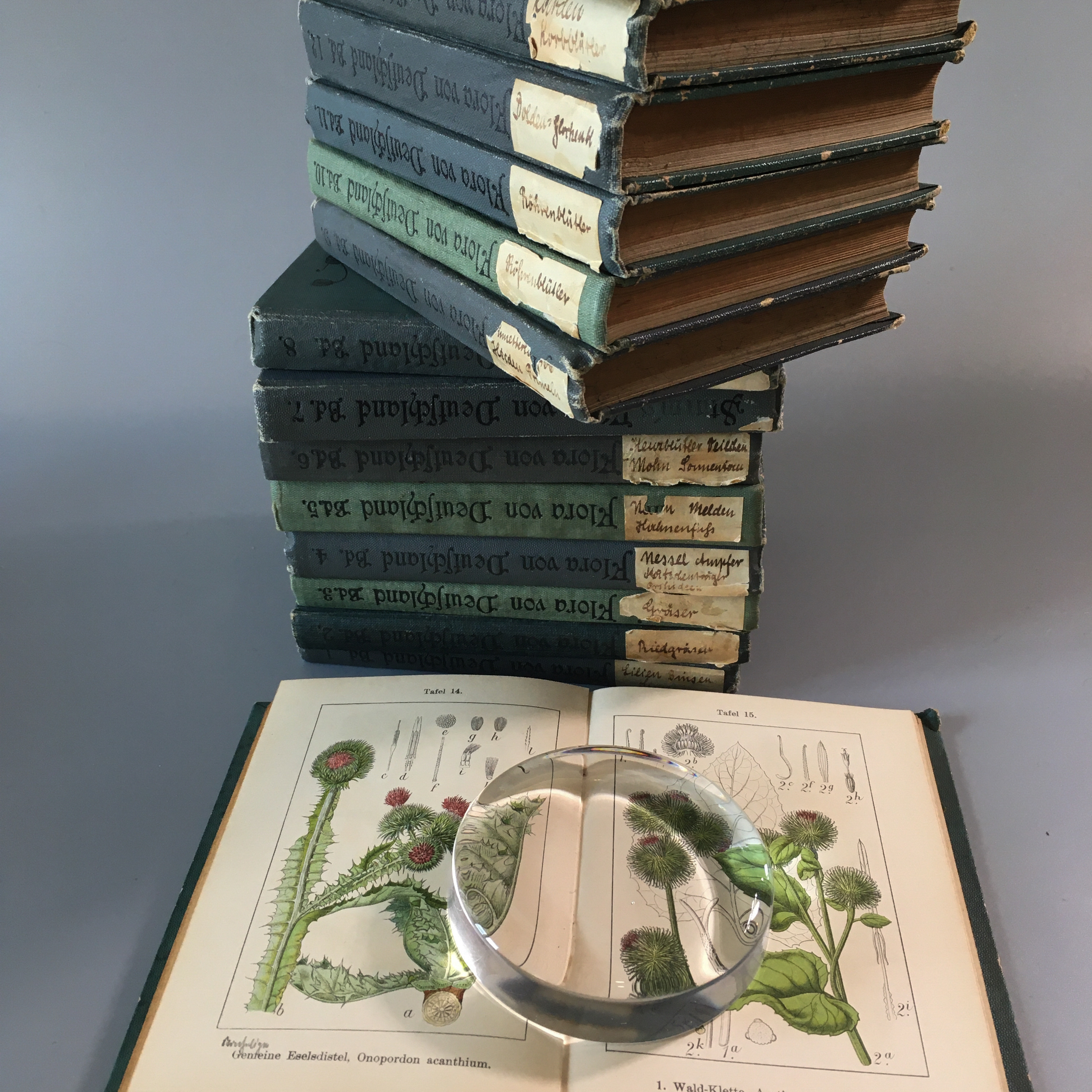 J Sturm 15冊 ドイツ アンティーク 植物図鑑 ボタニカル ビンテージ ヤーコブ シュトルム 植物画 博物画 べるりんのーと