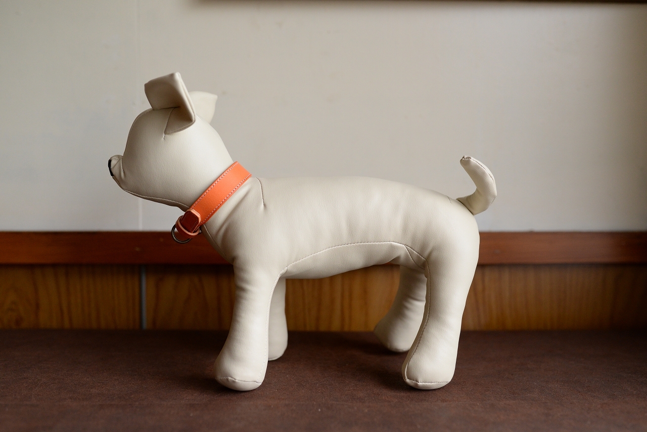 シンプルなオレンジの小型犬用首輪 K So10bb 犬の首輪ブランド アリノハネドッグス