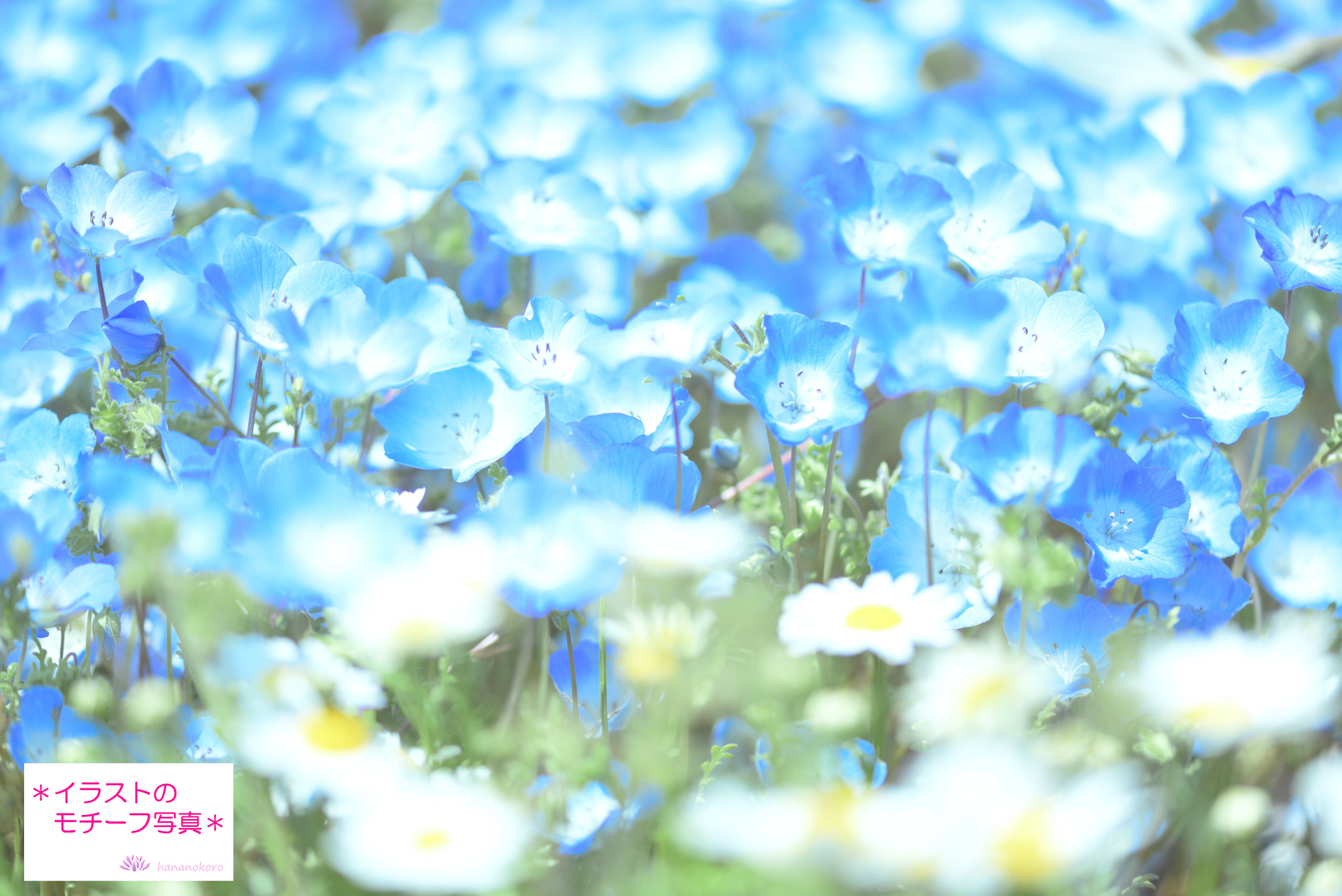 Kage P作 幸せブルー マグカップ 送料 税込み 障がい者が描く花イラストの雑貨販売 Hananokoro はなのころ