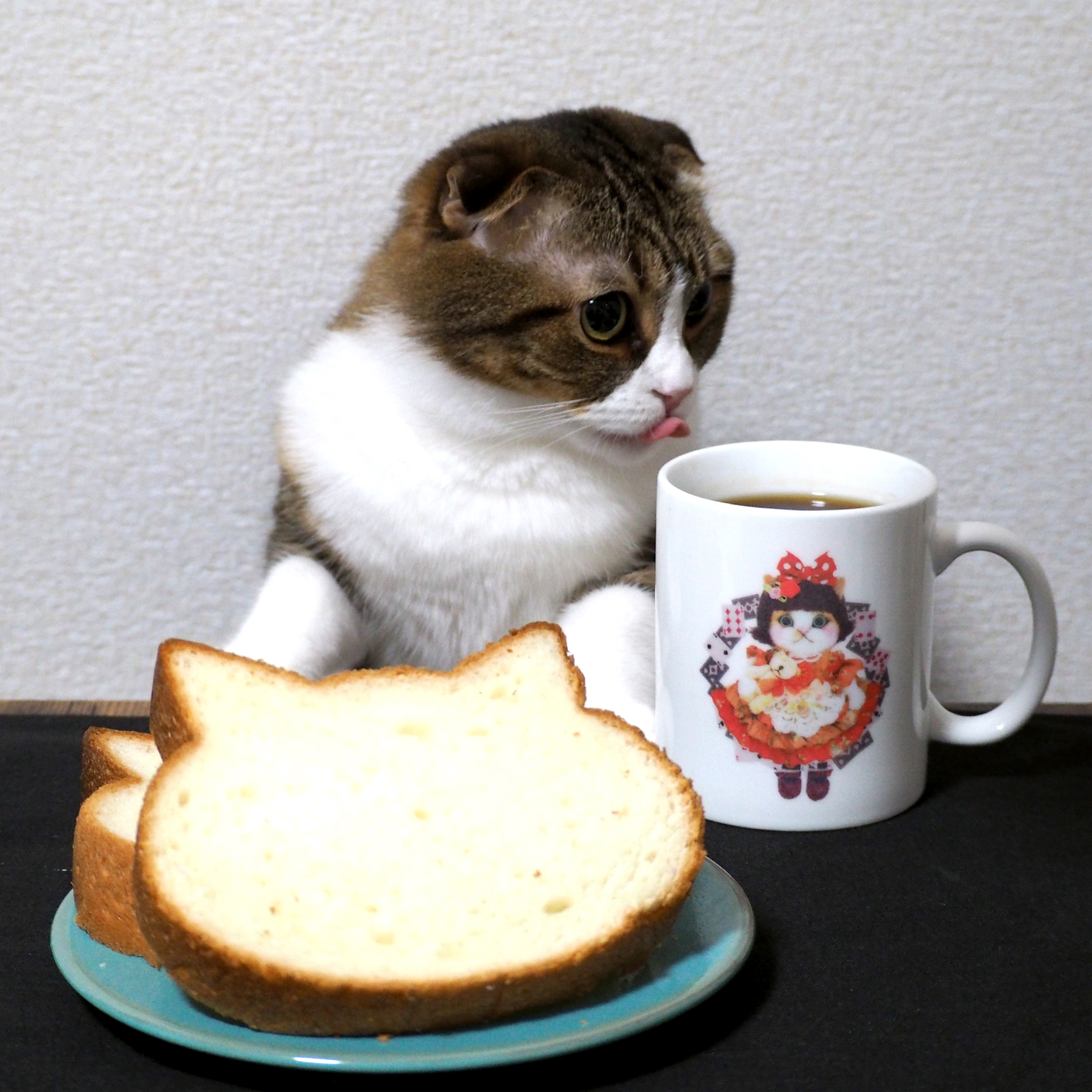 Pink Jean ルビィにゃん トランプ マグカップ もんしゃみにおん ねこ作家の雑貨店