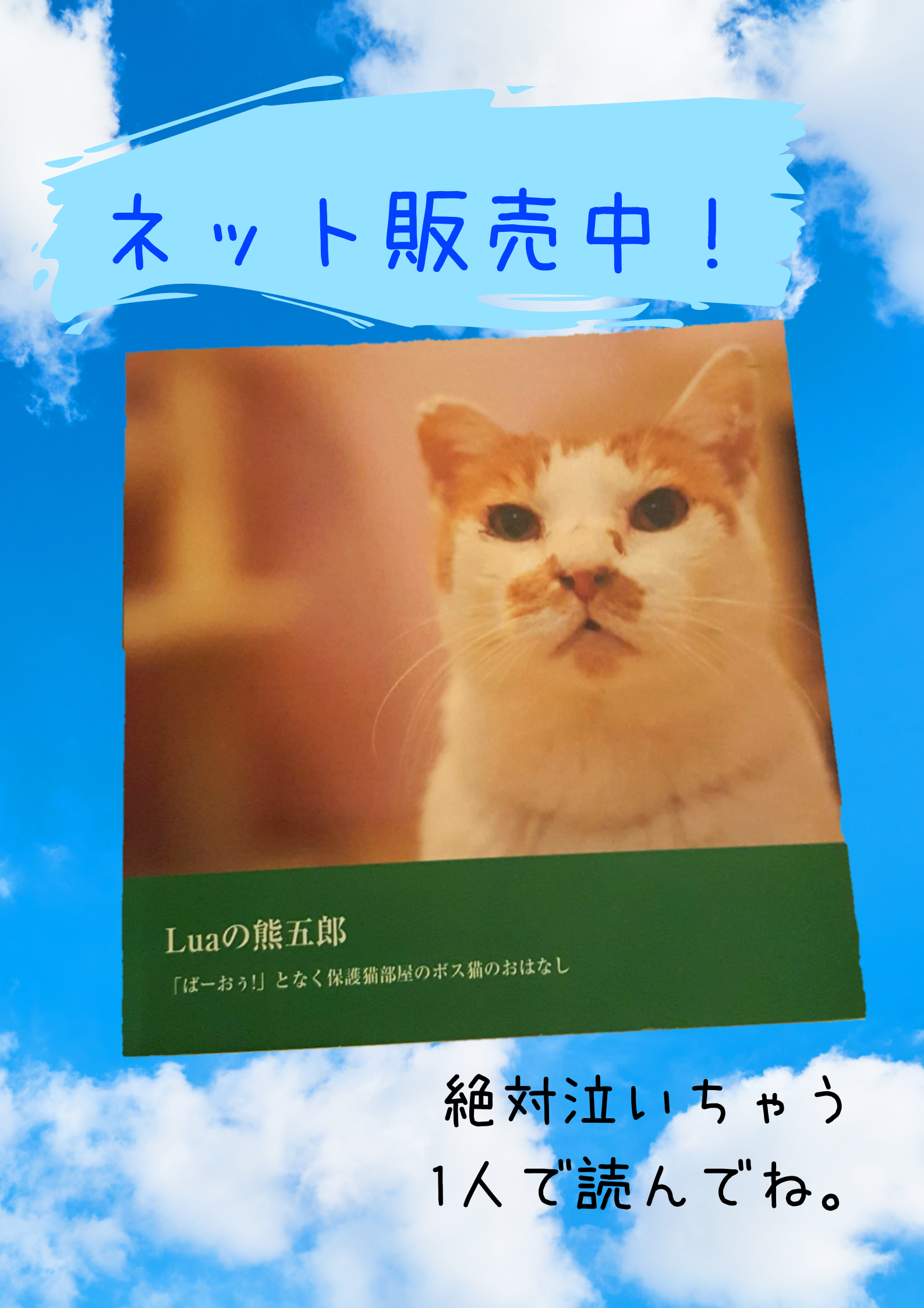 フォトブック ばーおぅ となく保護猫部屋のボス猫のおはなし Cucue Ribbon