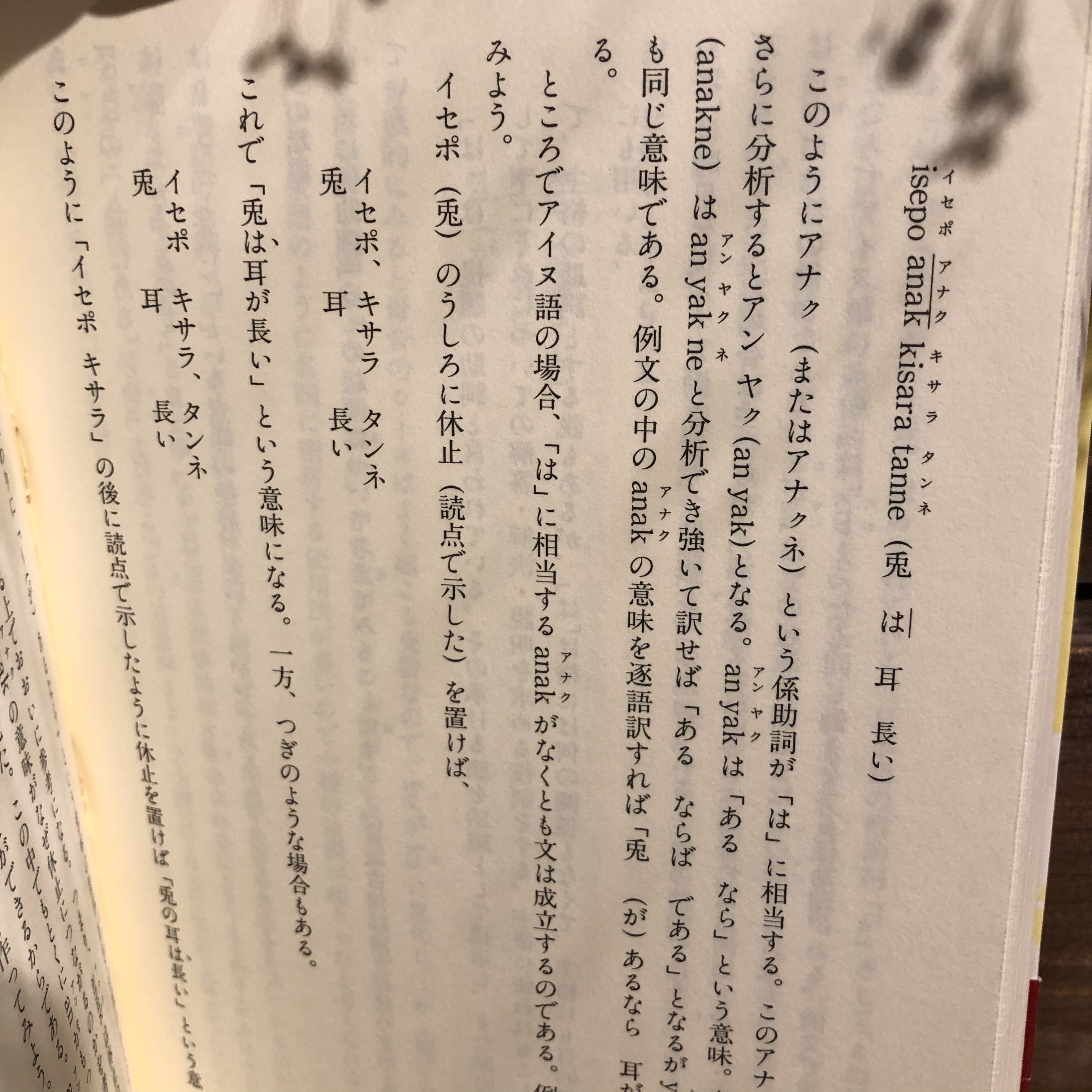 増補版 日本語とアイヌ語 片山龍峯 縄文語 すずさわ書店 中古本 古本 Book Lab