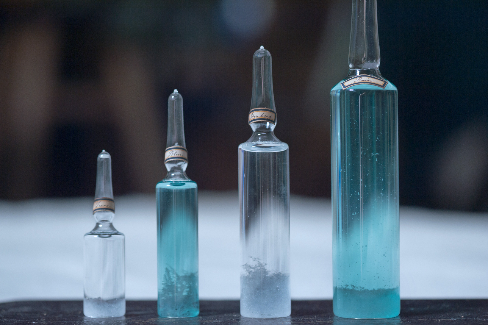 雨の標本 M ティールブルー Atelier De Miomori アトリエ ドゥ ミオモリ Online Store