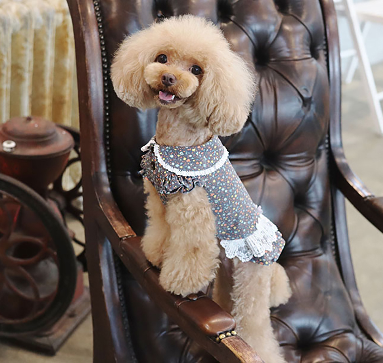 フラワーワンピース 犬服 ワンピース お出かけ 小型犬 中型犬 可愛い ドッグウェア 犬の服 ドレス お揃い ペット用品ショップ Nari Pet