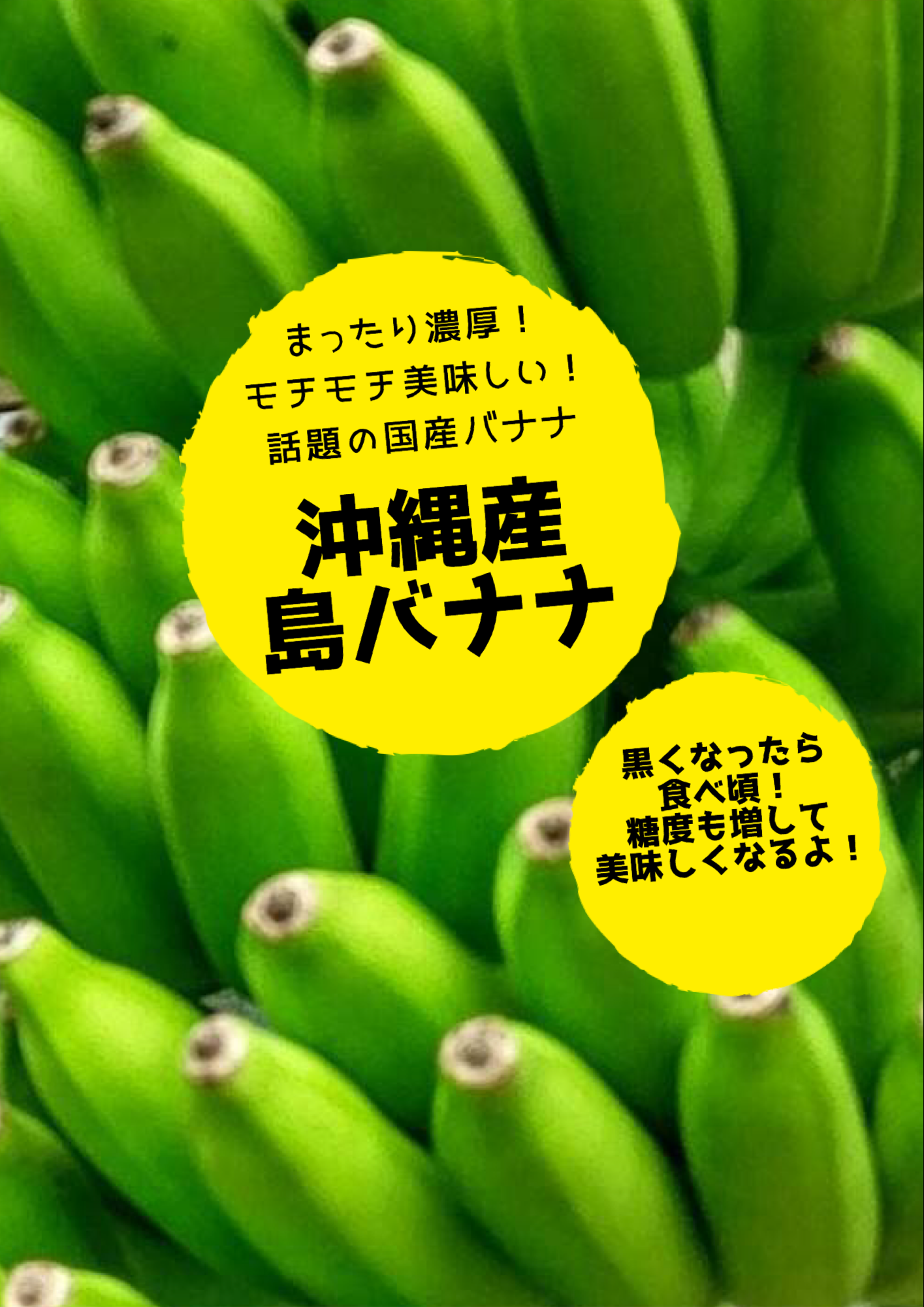 人気の国産バナナ まったり濃厚 モチモチ美味しい 沖縄産 無農薬 島バナナ Adan Okinawa アダン沖縄 Base店 熱帯フルーツ 島野菜 沖縄特産品 ちょっとお取り寄せ