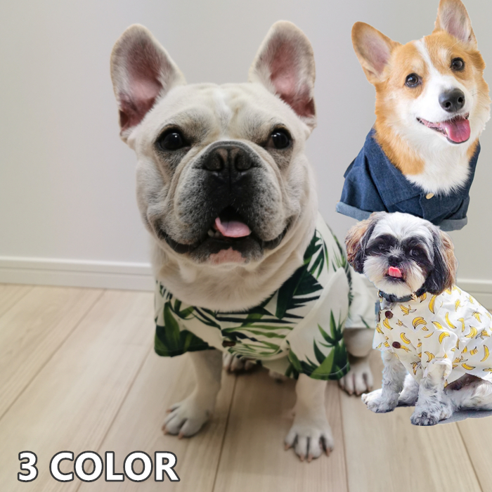 Km369tsフレンチブルドッグ 服 アロハシャツ 海 フレブル 中型犬 かわいい 川 リゾート サーフィン ビーチ Dearkm フレンチブルドック孔明