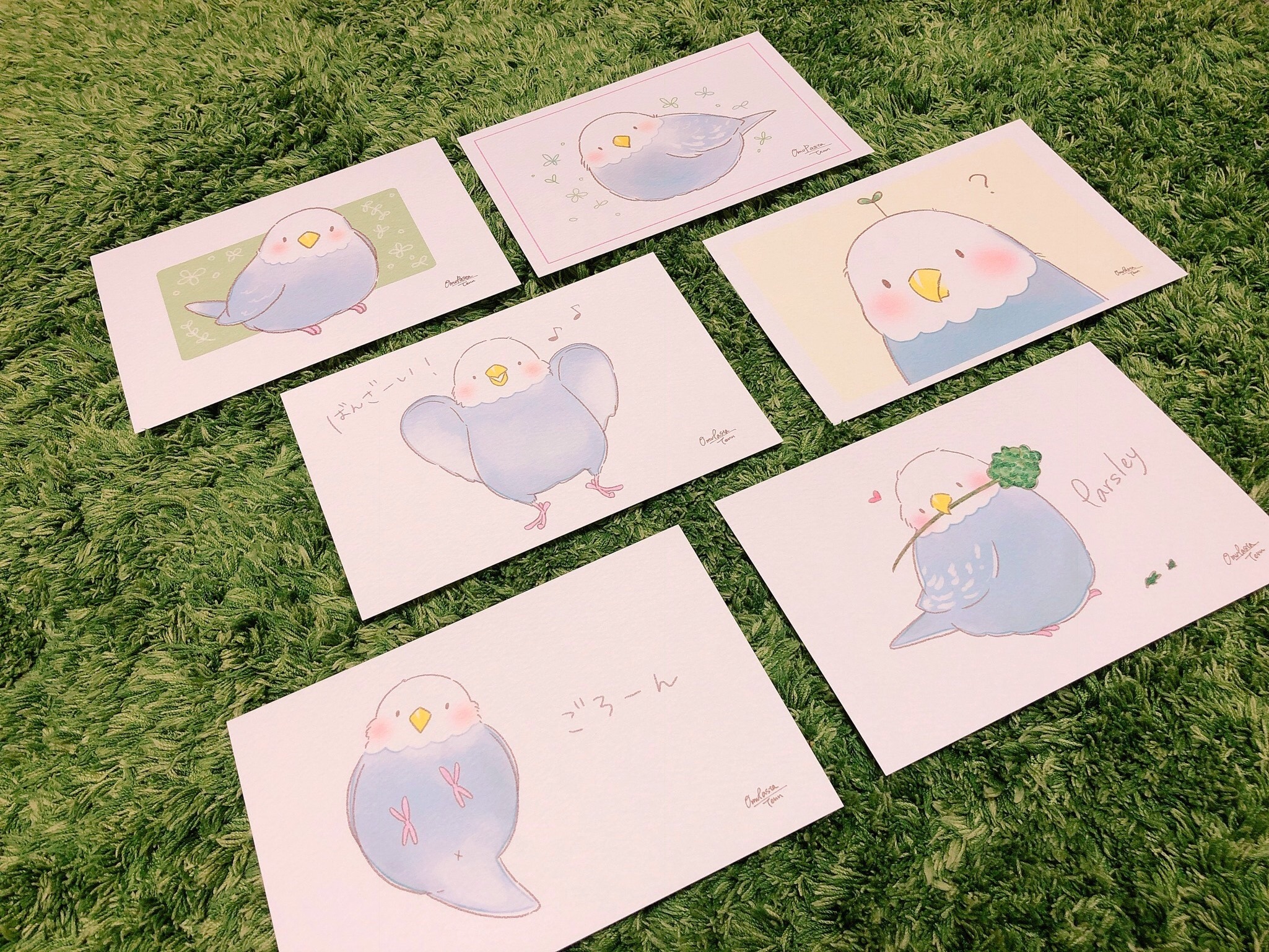 おトク ポストカードセット セキセイインコのラムネちゃん Omupasta もっちりぽってりな鳥雑貨 インコ オウム 野鳥たち