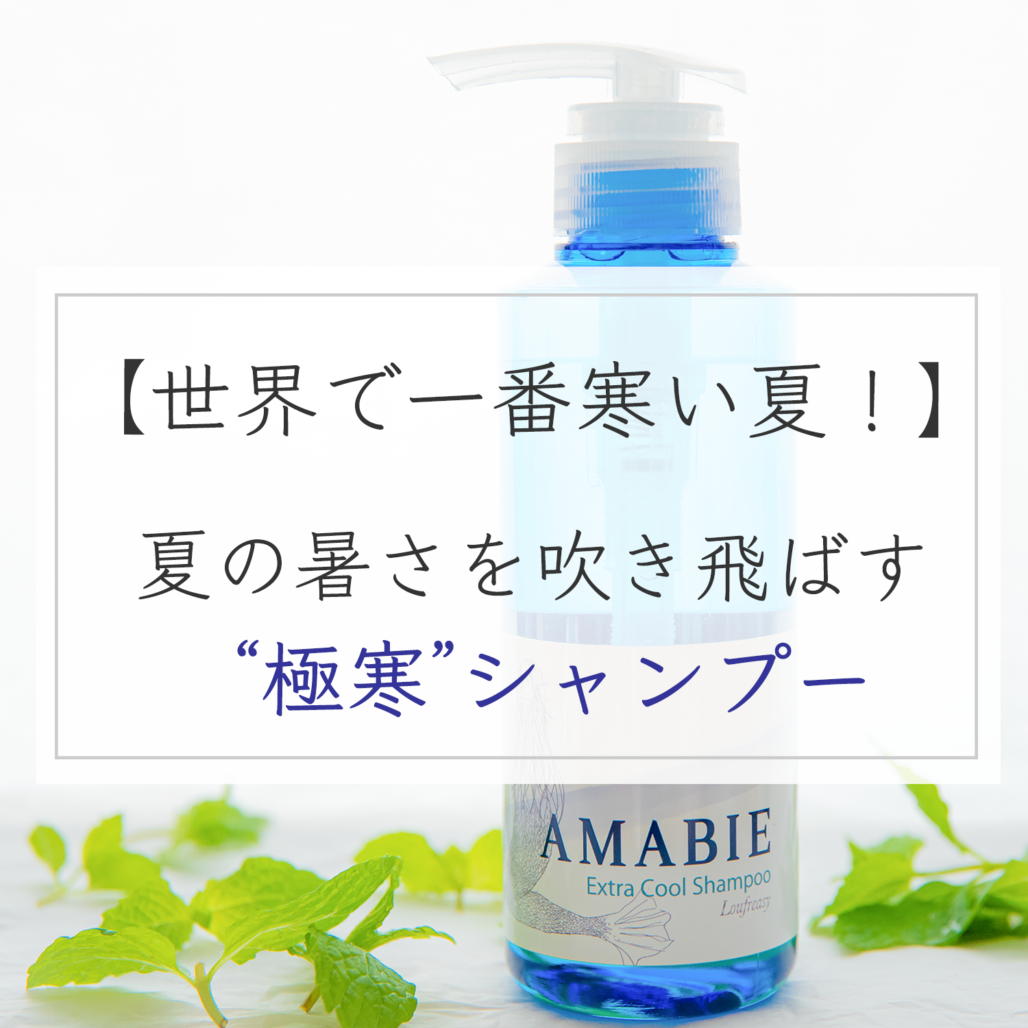 メンズにもオススメ 極寒 クールミントシャンプー Amabie アマビエ 消臭効果や育毛効 アンチエイジング効果も期待できる 弱酸性のアミノ酸系ノンシリコン冷やしシャンプー 全身保湿プロダクト Soie スワ By Loufreasy ラフリジー