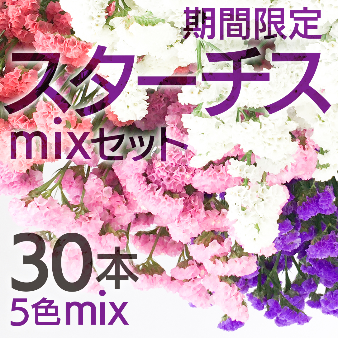 スターチス 30本 Mixセット スワッグやドライフラワーに たっぷり5色セット 5月まで販売延長 フラワーロス救済 スマイルフラワープロジェクト