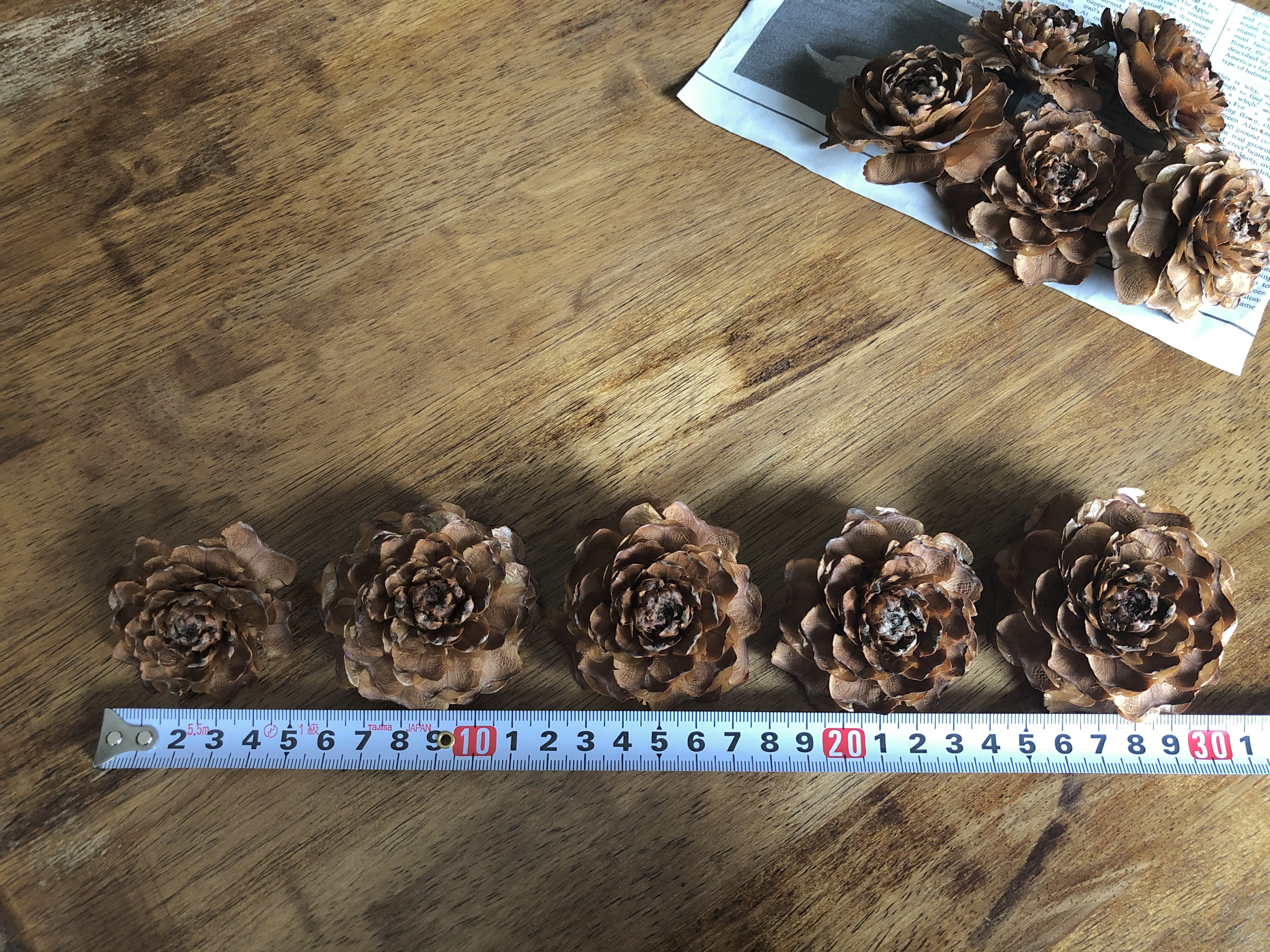 バラの形をした松ぼっくり シダーローズ 約12個入 夢農場 信州 安曇野 池田町