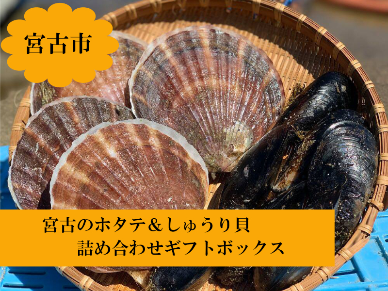 宮古のホタテ しゅうり貝の詰め合わせbox えんとつ町のプペル 岩手ジャックプロジェクト