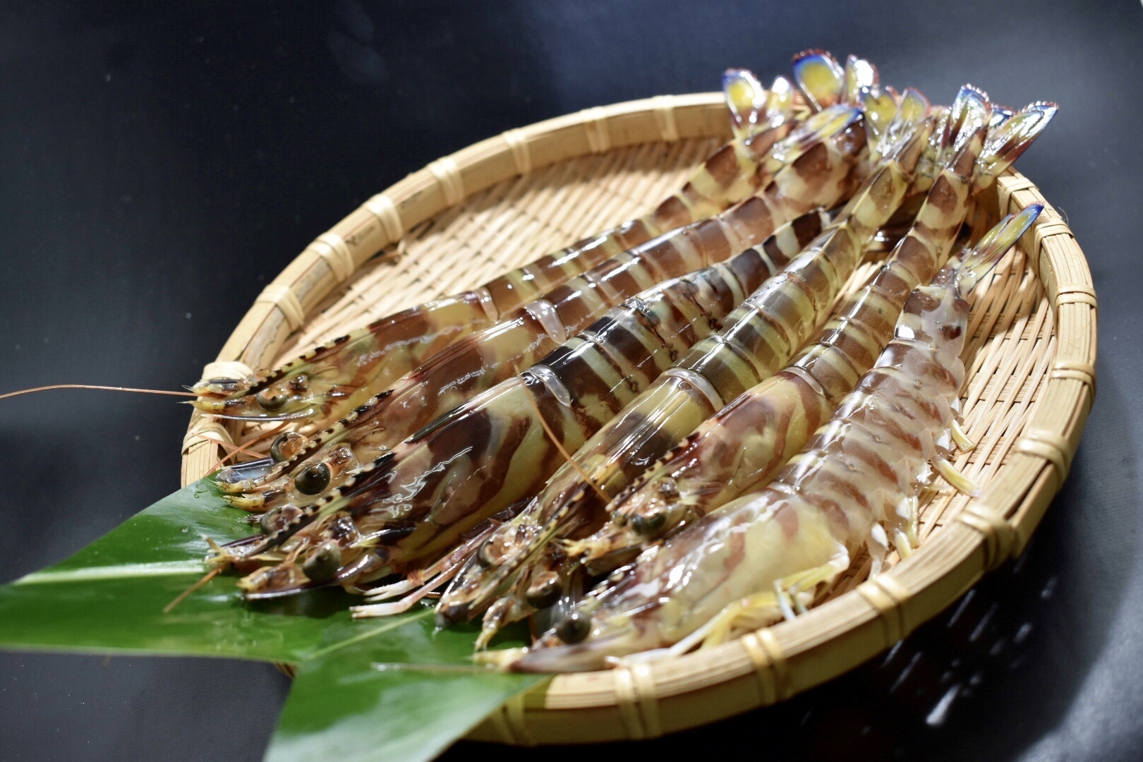 沖縄県産 活車海老l 500g 車えび屋さん