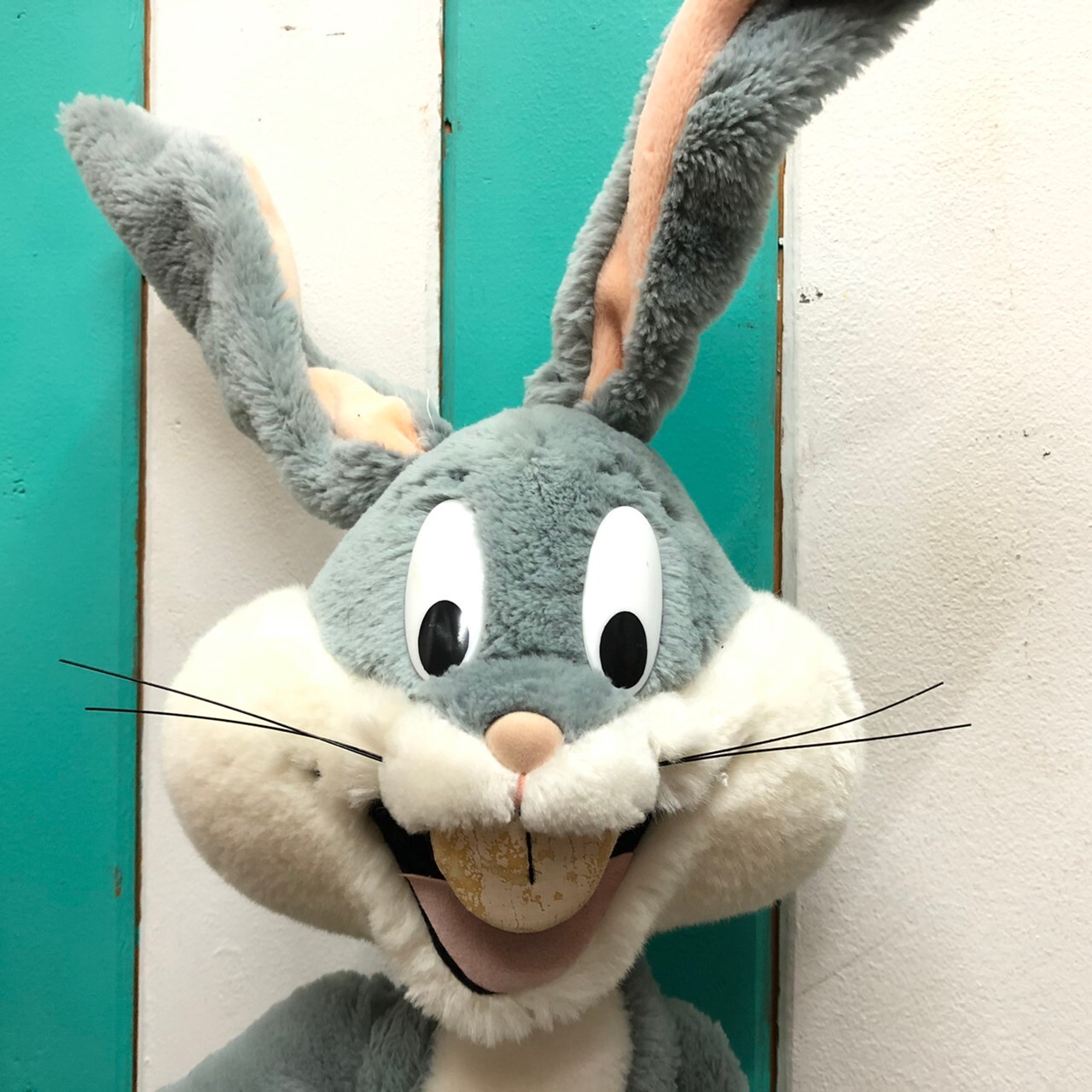 Looney Tunes Bugs Bunny Oversized Plush Toy ルーニー テューンズ バッグス バニー 特大ぬいぐるみ The Puppez E Shop ザ パペッツ松本 Webショップ