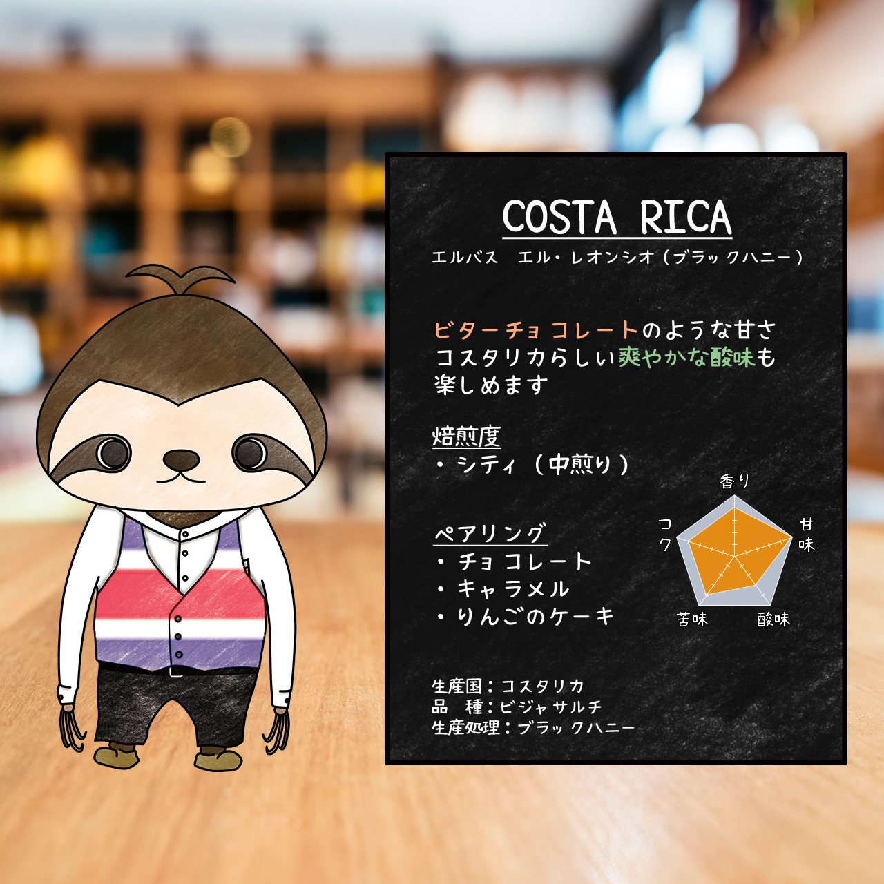 0g コスタリカ エルバス エル レオンシオ ブラックハニー 自家焙煎コーヒーショップ Roastery Sloth