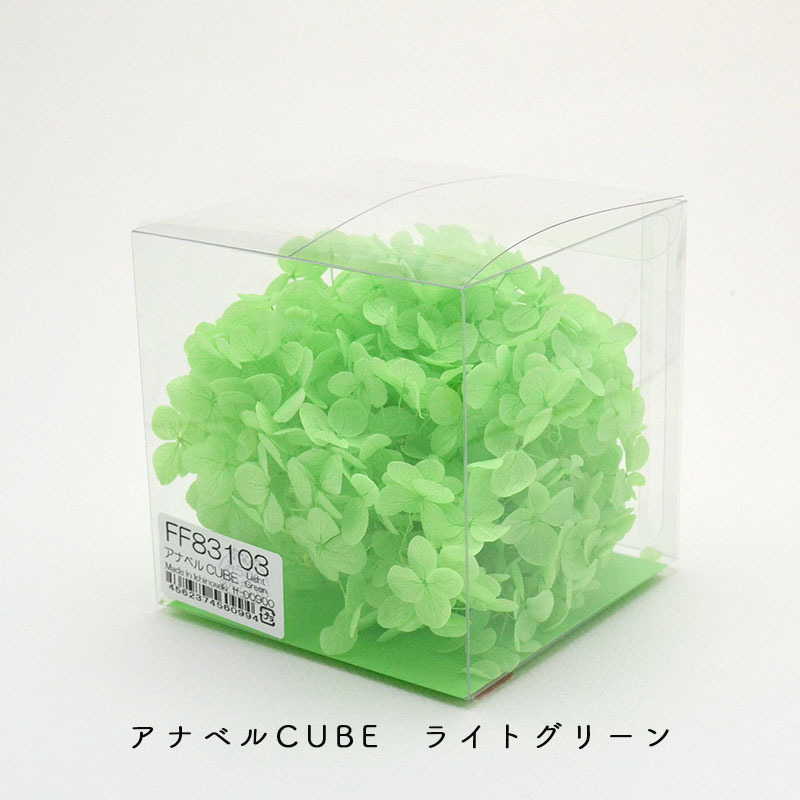 アナベルcube みちのくあじさいや 在庫限りの数量限定商品です 自然素材こわけ専門店 あじさいや