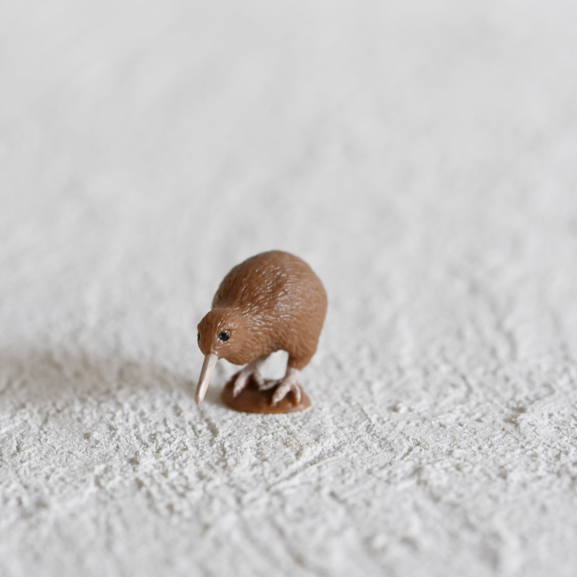 レイアウト用 フィギュア キウイ 苔テラリウム専門ショップ道草