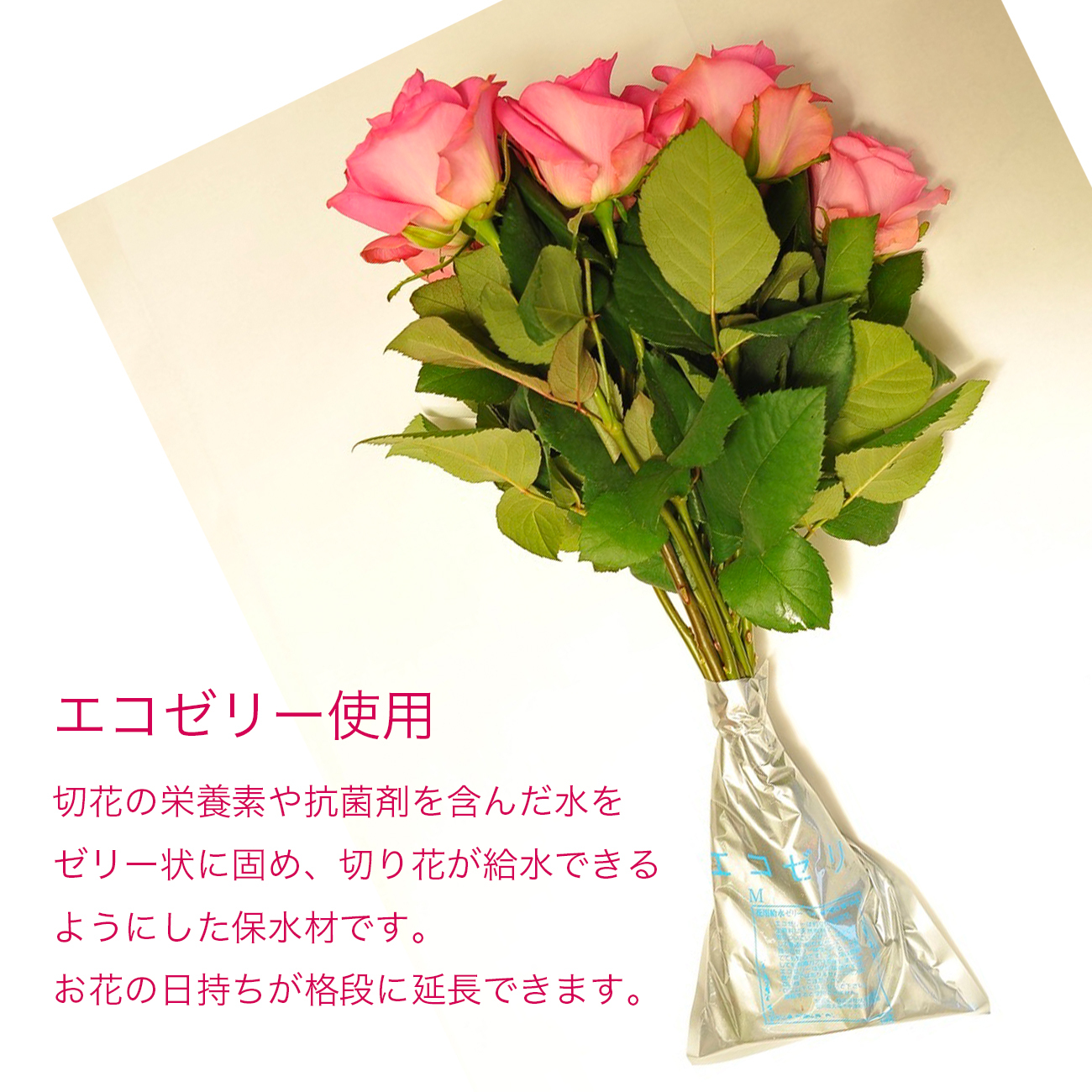 12本 赤バラ ダズンローズ バラの花束 ラッピング付 ひぐちばら園 Base Shop