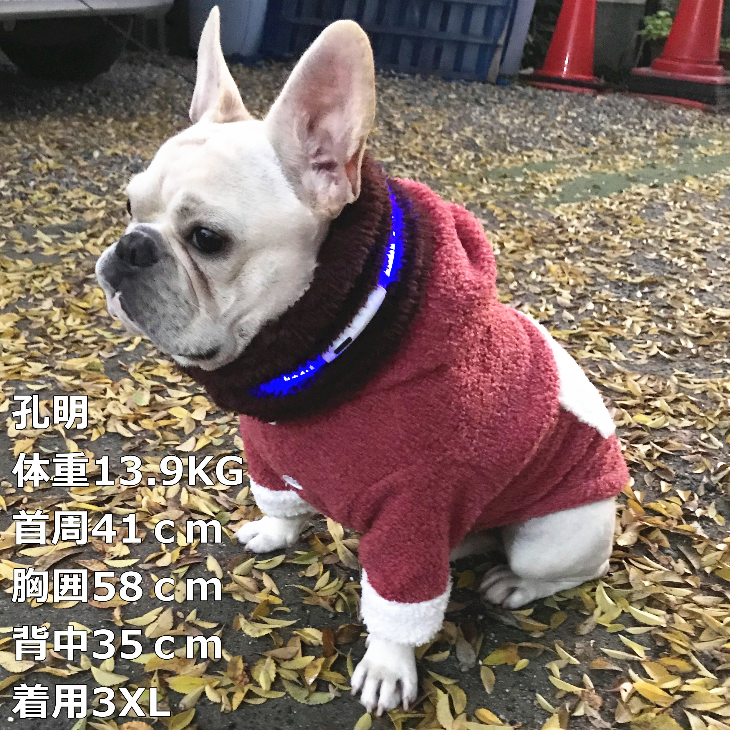 Km153ts フレブル服 中型犬 もこもこジャンパー 超暖 犬 いぬ服 ドックウェア Dearkm フレンチブルドック孔明