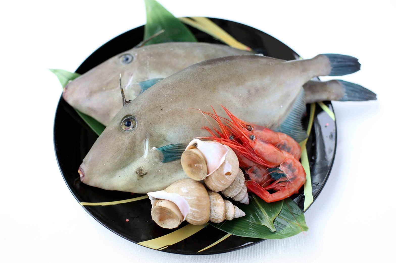 業務用鮮魚セット おまかせ 鮮魚 中パック 橋爪商店