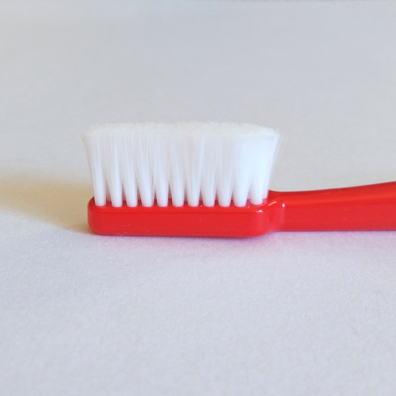 歯ブラシ 人間用ですが ワンちゃんにもオススメ 社福 日本介助犬協会チャリティグッズショップ