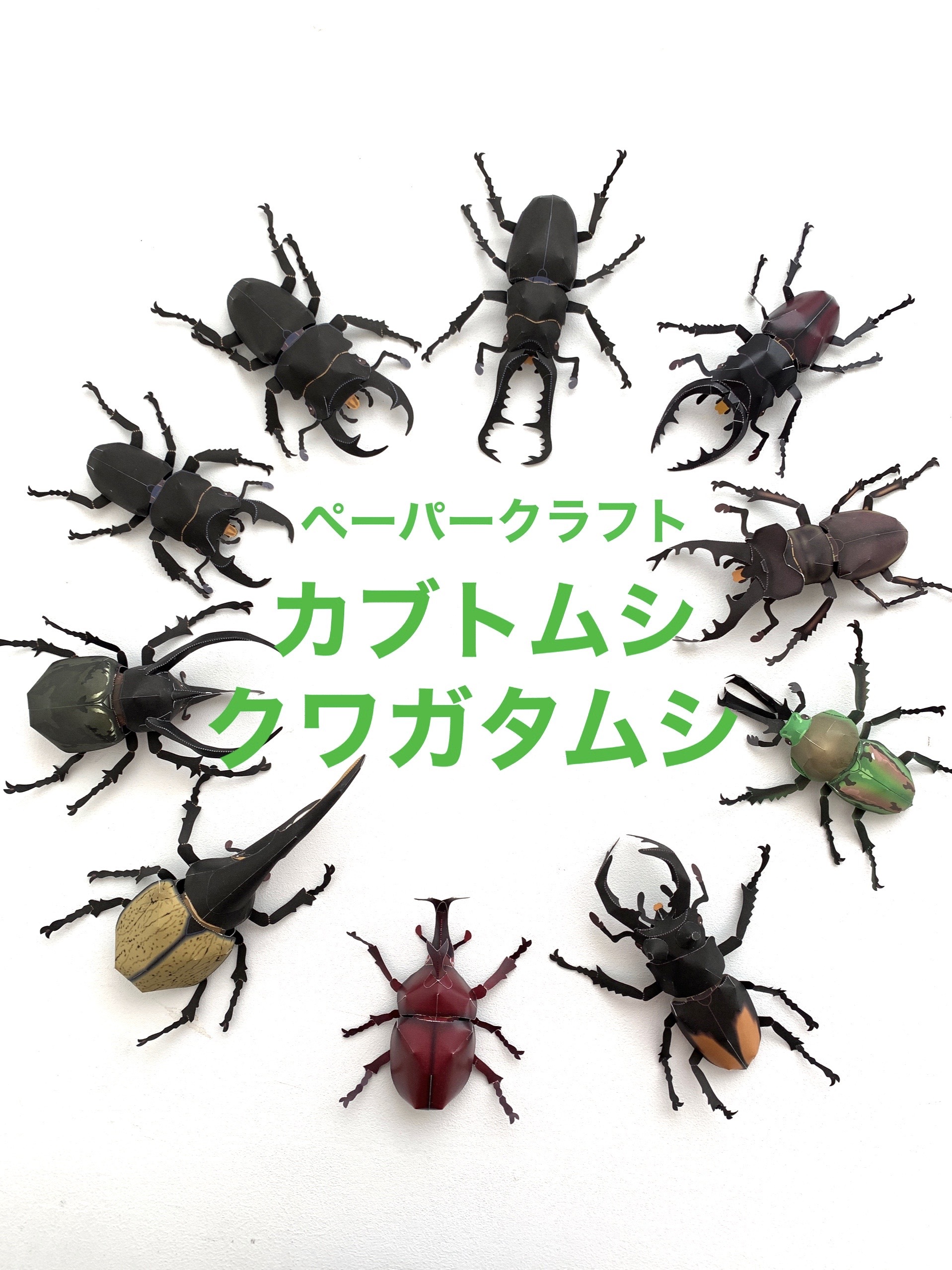 送料無料 ペーパークラフトブック カブトムシ クワガタムシ Cfmarche