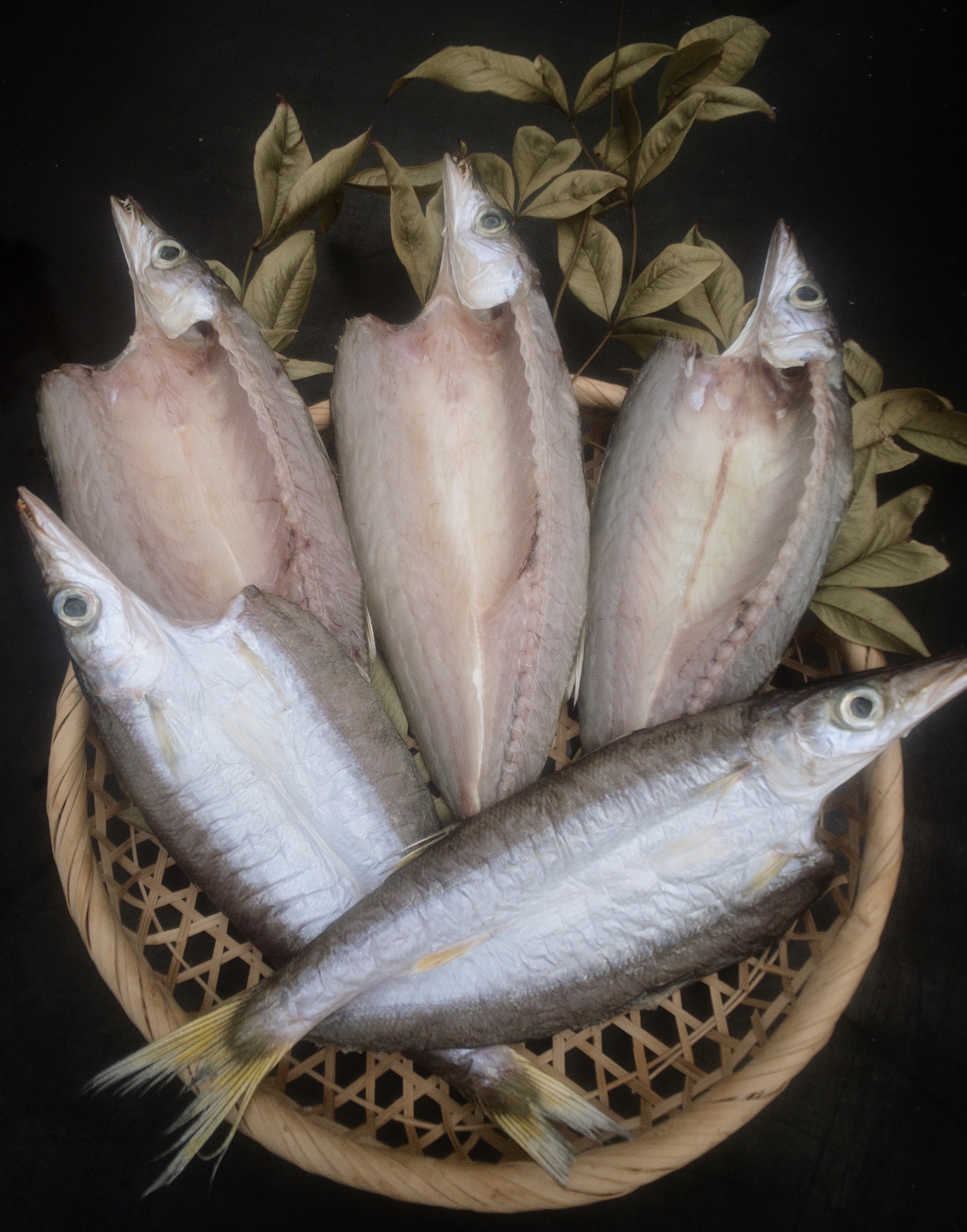 カマスの開き 大栄水産