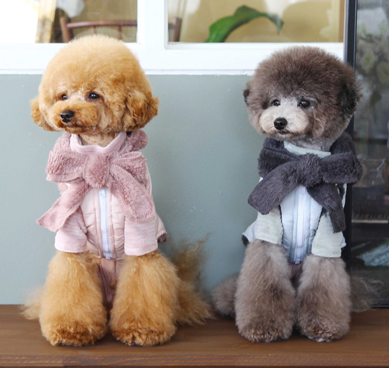 フリース配色ダウン S Xl 3color 犬服 秋冬 アウター 犬の服 犬 ダウン パーカー 小型犬 中型犬 ペット用品ショップ Nari Pet