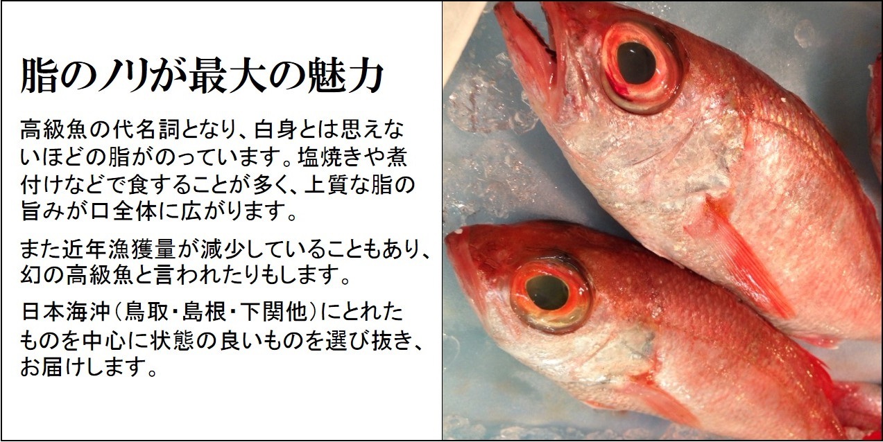 生 のどぐろ 喉黒 赤むつ 特大サイズ 豊洲直送 特大約700 800g 日本海産 鳥取 山口 島根他 アカムツ ギフト 鮮魚 刺身 ノドグロ 生 のどぐろ700 800g 冷蔵 Okawari 豊洲直送の高級海産物をお届け 生 のどぐろ 喉黒 赤むつ 特大サイズ 豊洲直送 特大約700 800g 日本海産 鳥取 山口 島根他 アカムツ ギフト 鮮魚 刺身 ノドグロ 生 のどぐろ700 800g 冷蔵 Okawari 豊洲直送の高級海産物をお届け