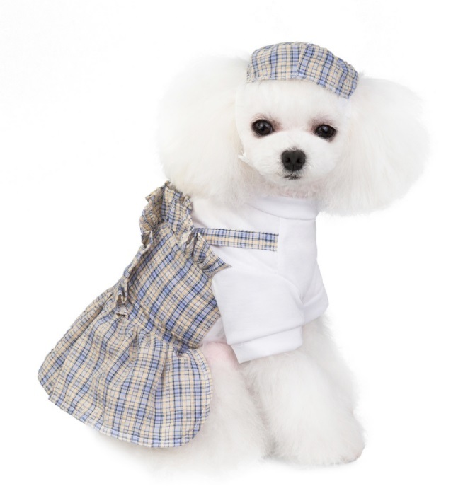 おしゃれ制服ワンピース 帽子付き 2色 新作 犬 猫 Candydogg
