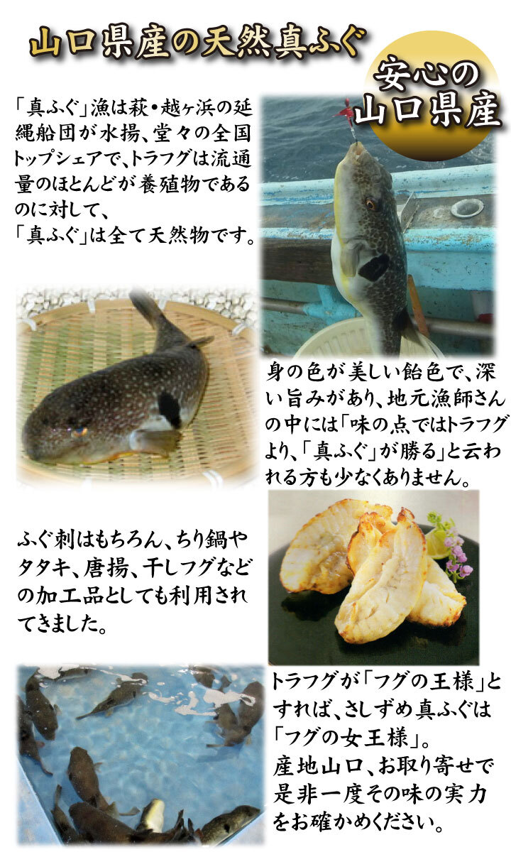 天然炙り真ふぐ５人前 スライス済 下関ふぐ老舗問屋 山西水産