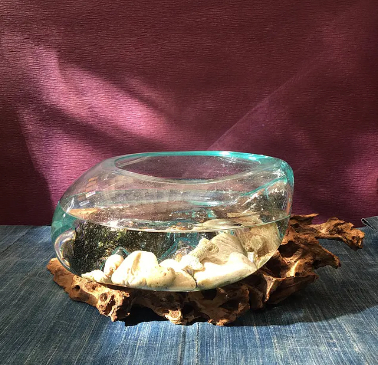 流木ガラスオブジェm アクアリウム Plusgardensshop
