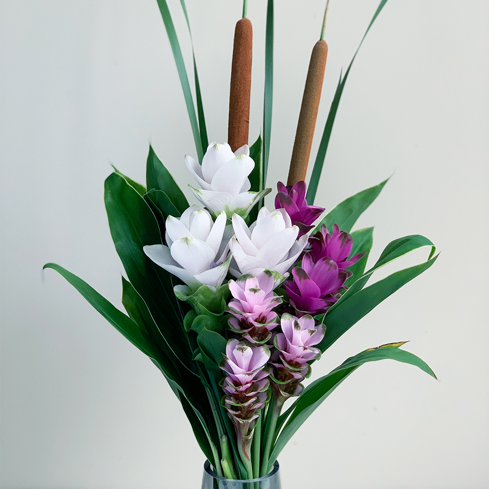クルクマの花束 1束 よいはな Yoihana 最高品質のお花をお届けするネット通販