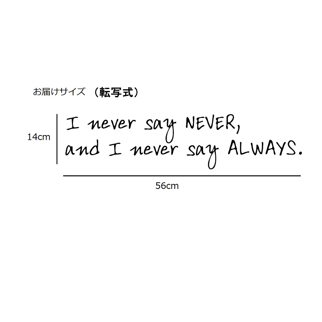 ウォールステッカー 英字 名言 黒 マット 英語 I Never Say Never And I Never Say Always 14 X 56 Cm Iby アイバイ ウォールステッカー 通販