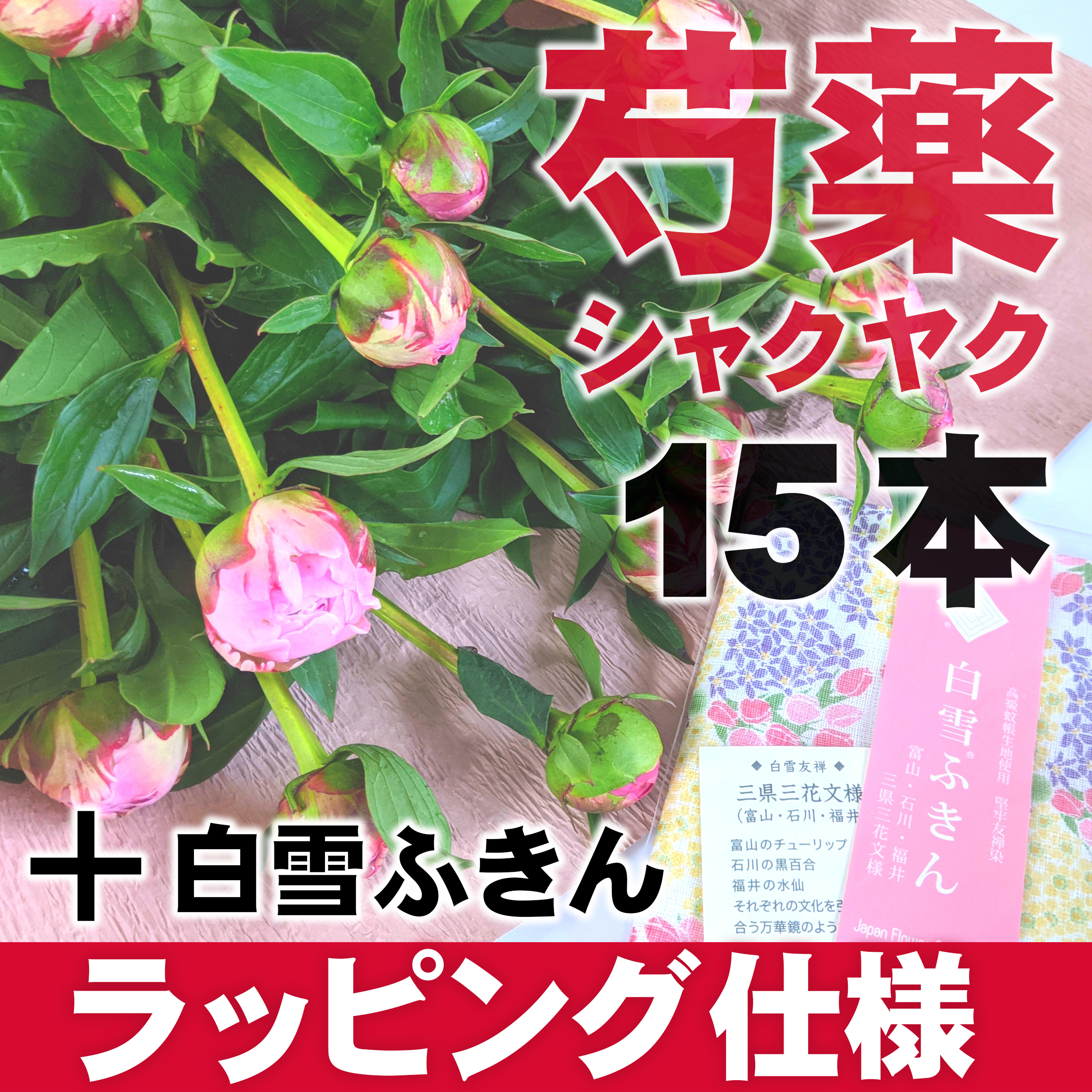 販売終了しました 芍薬 シャクヤク 15本 Mix 白雪ふきん ラッピング 期間限定 フラワーギフト フラワーロス支援 スマイルフラワープロジェクト