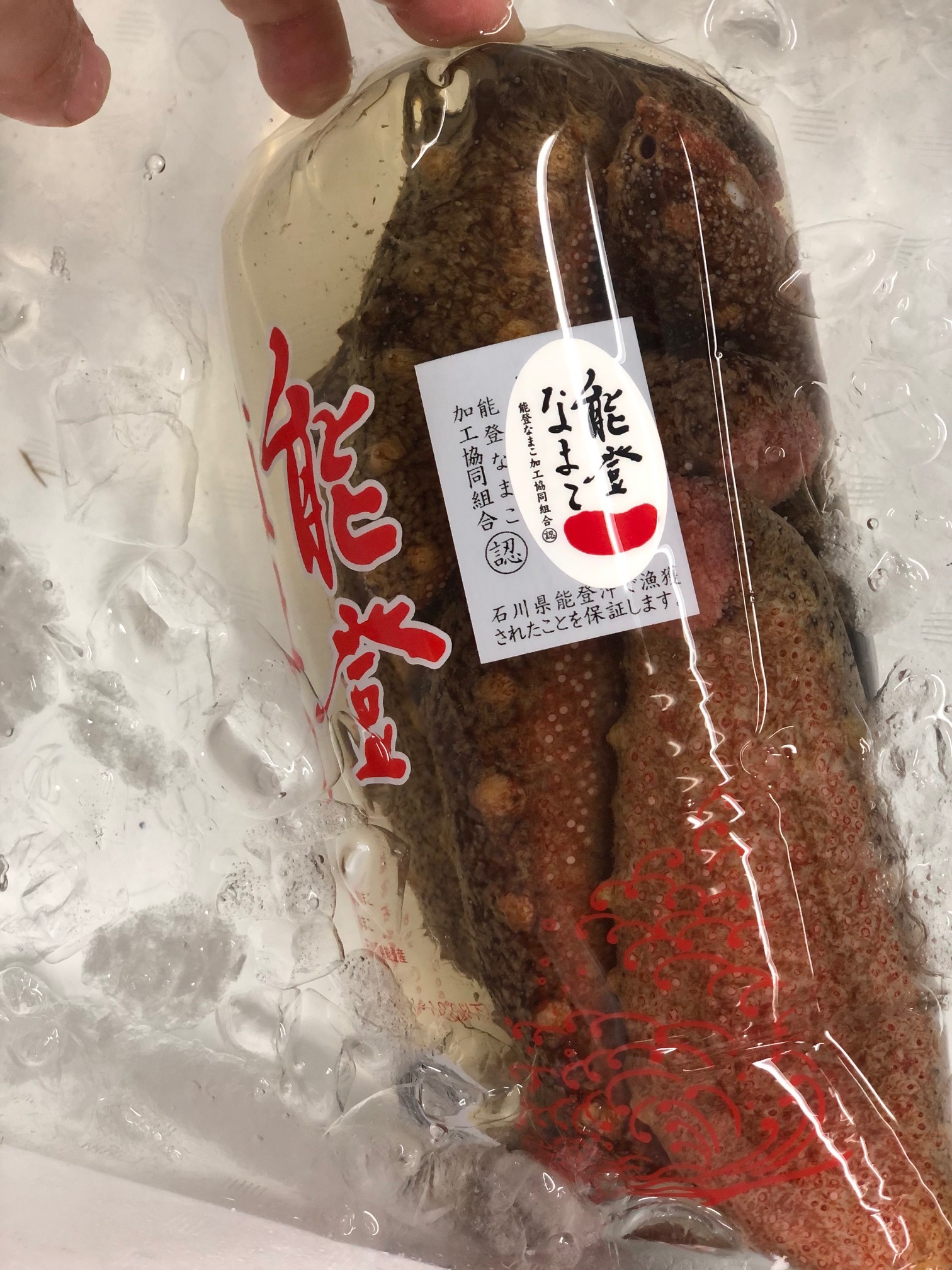 赤ナマコ 能登産 １キロ袋 赤なまこ１kg 冷蔵 豊洲直送 Okawari 豊洲直送の高級海産物をお届け