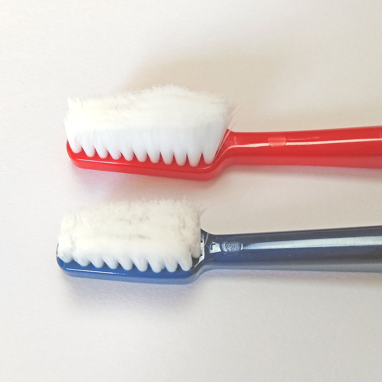 歯ブラシ 人間用ですが ワンちゃんにもオススメ 社福 日本介助犬協会チャリティグッズショップ